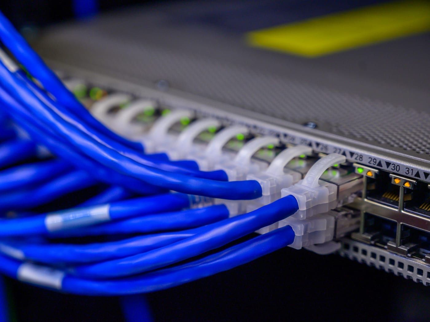 Netzwerk-Switch mit angeschlossenen blauen Netzwerkkabeln